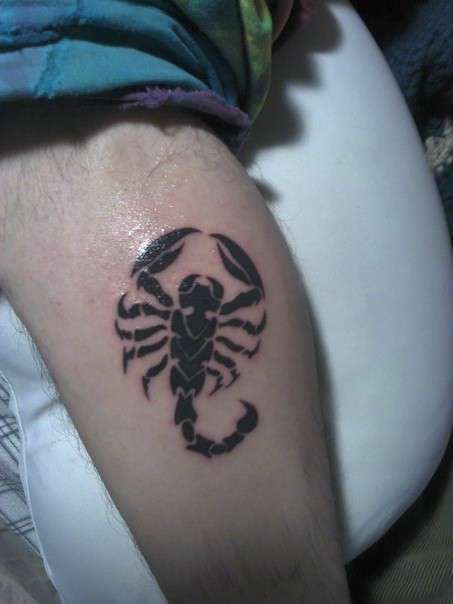 Scorpion