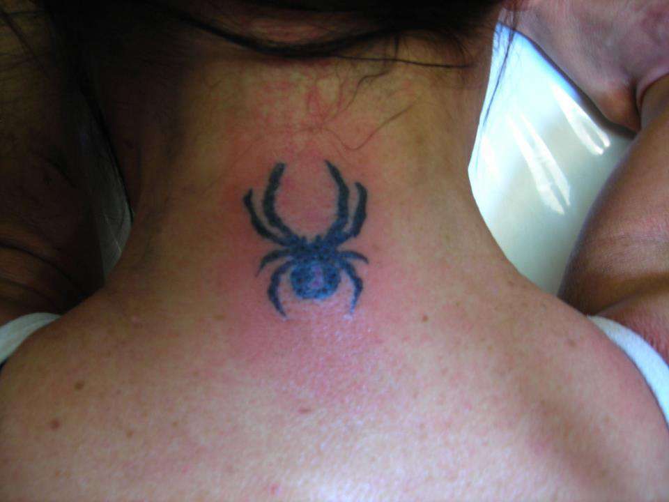 Spider_logo