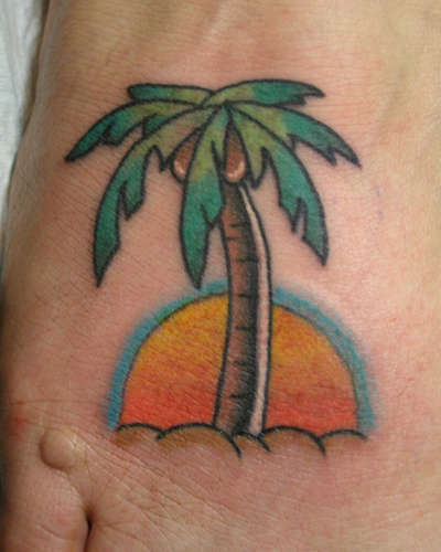 Palm-tree-223