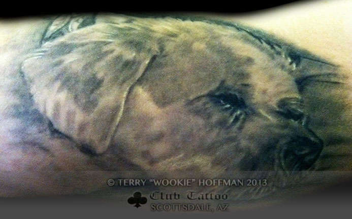 Club-tattoo-terry-wookie-hoffman-scottsdale-dog-portrait