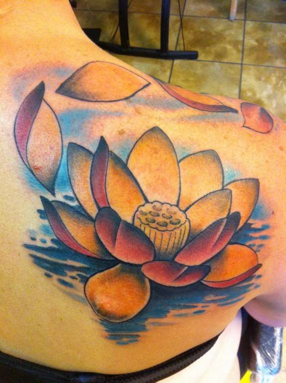 ogrejoe:lotus-flower-color-flower-lotus