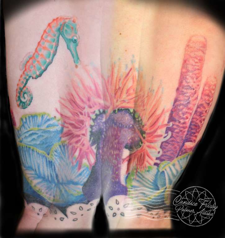realistic seahorse tattoo