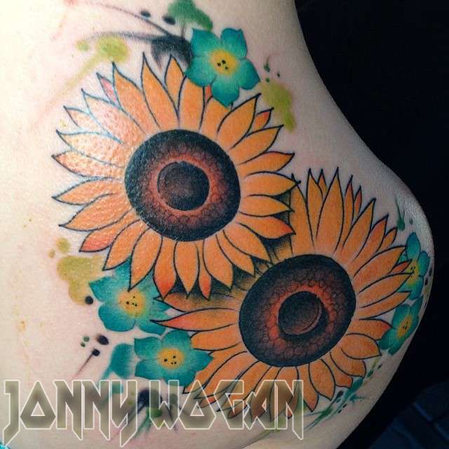 Jonnywogan-sunflowers