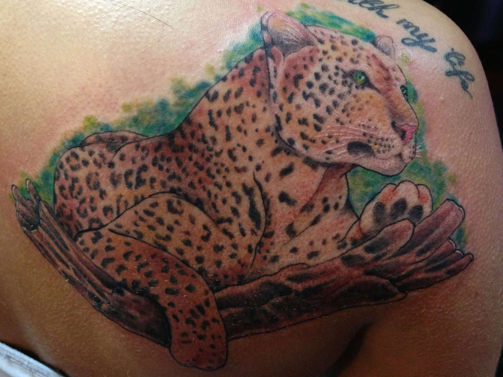 Leopard