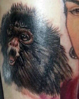 Monkey.peterjustice.cbtstudios.peterjustice808_gmail.com.407.373.8725www.petertattoos.com_(34)