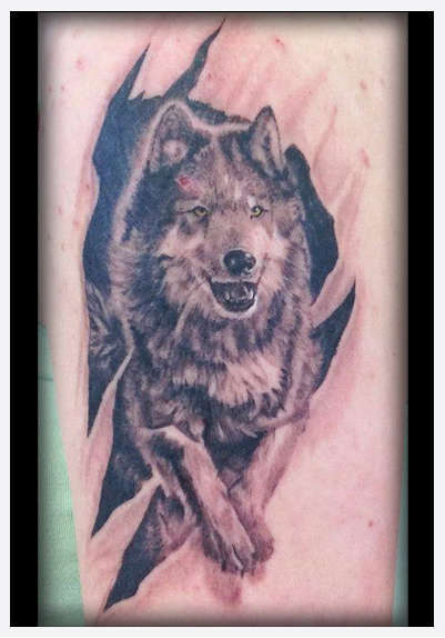 Eternal_tattoo_dano_miller_wolf_ripping_out