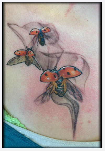 Eternal_tattoo_dano_miller_lady_bugs
