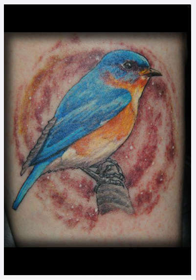 Eternal_tattoo_dano_miller_blue_bird_tattoo
