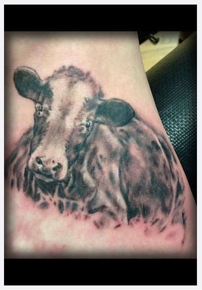 Eternal_tattoo_brandon_miller_cow_realistic_black_grey_photo_realism