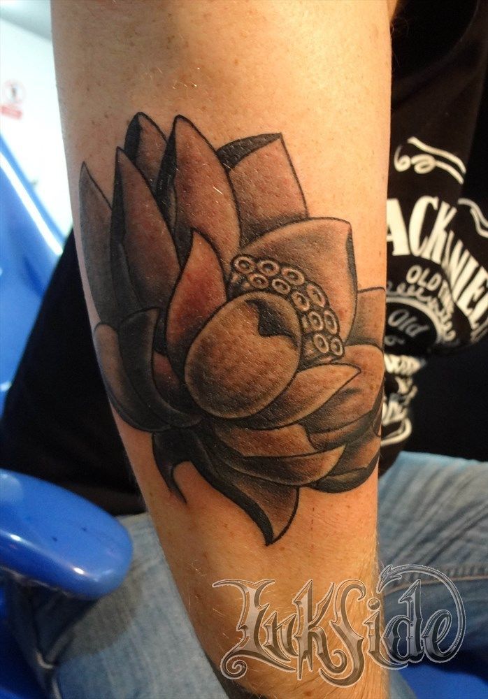 marcelo_alvarez:flor-de-loto-lottus-tattoo-flower