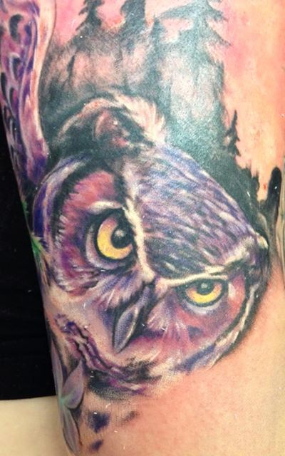 Justin-gorelik-owl