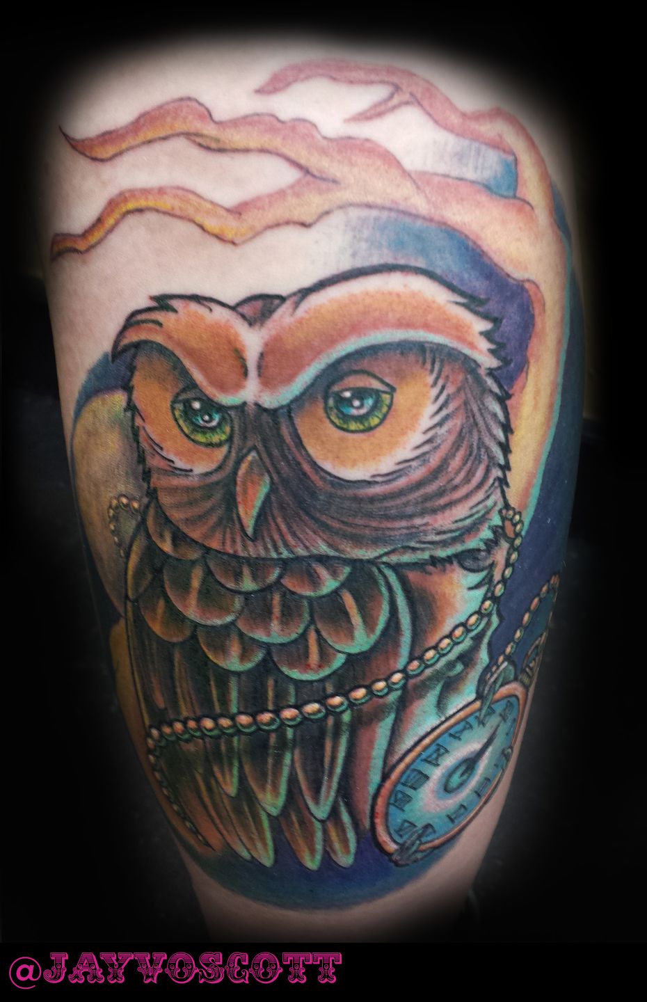 Owl