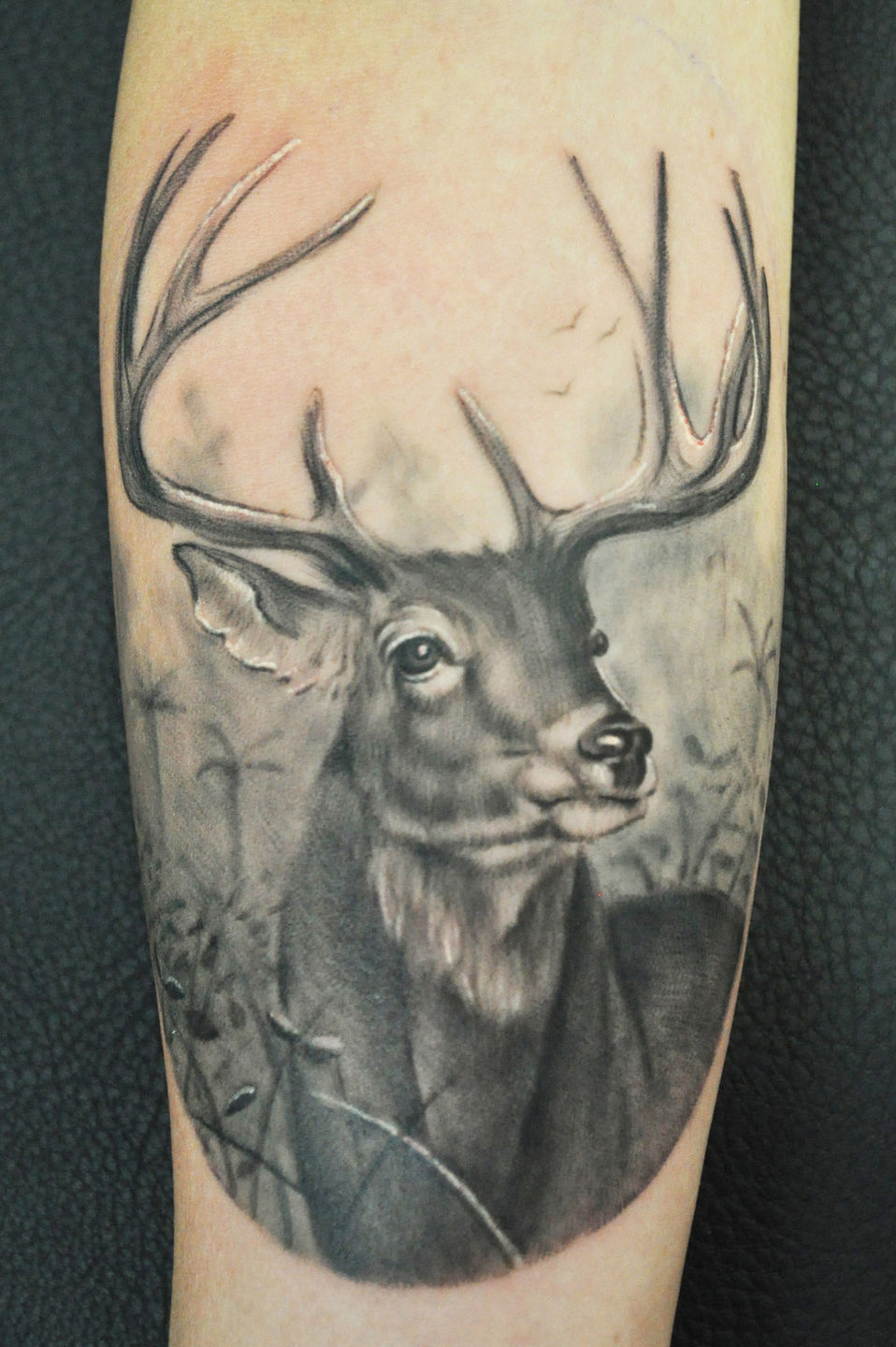 Lalo_deer_small