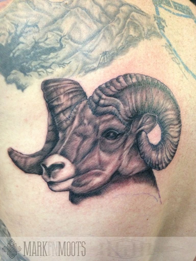 dedleg  Tattooed this bighorn sheep skull with a broken