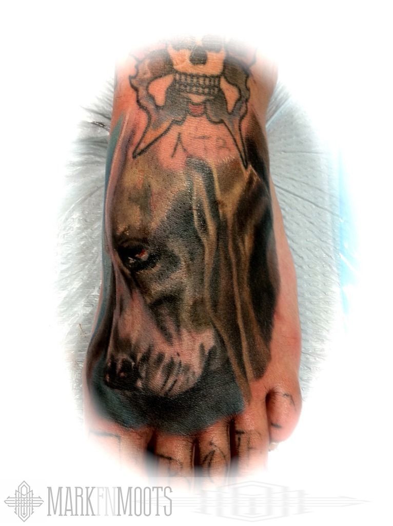 EyeCatching Detailed Greyhound Tattoos for Men and Woman  Inku Paw