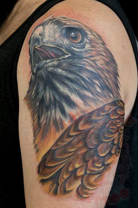 Redtailed Hawk by Drue at Glass Beetle tattoo Santa Rosa CA  rtattoos
