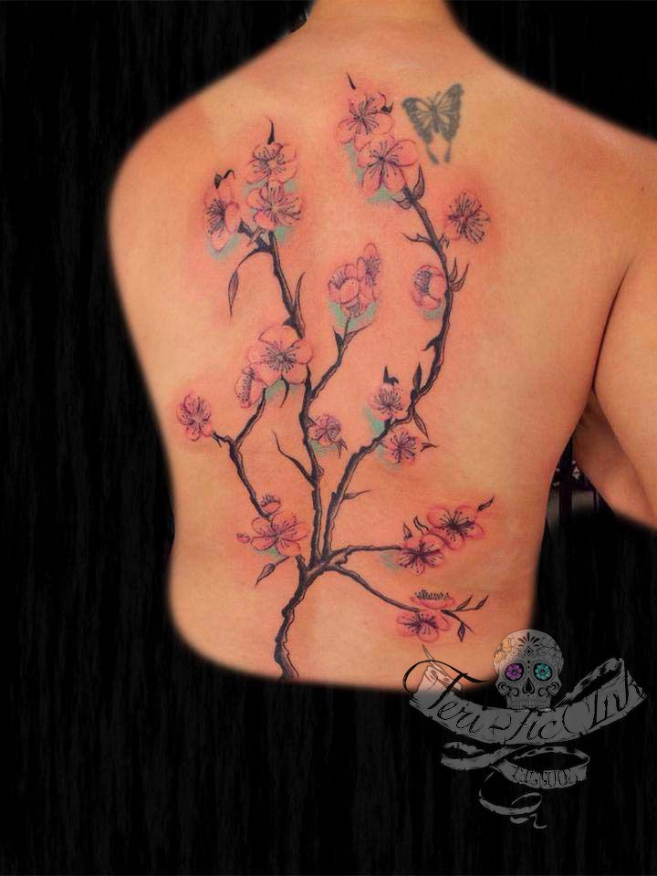 Cherry_blossom_back