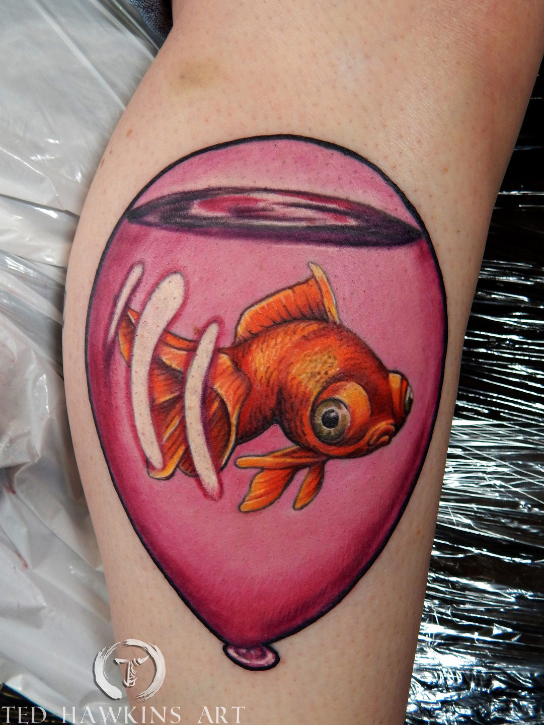 Sam_chambers_goldfish