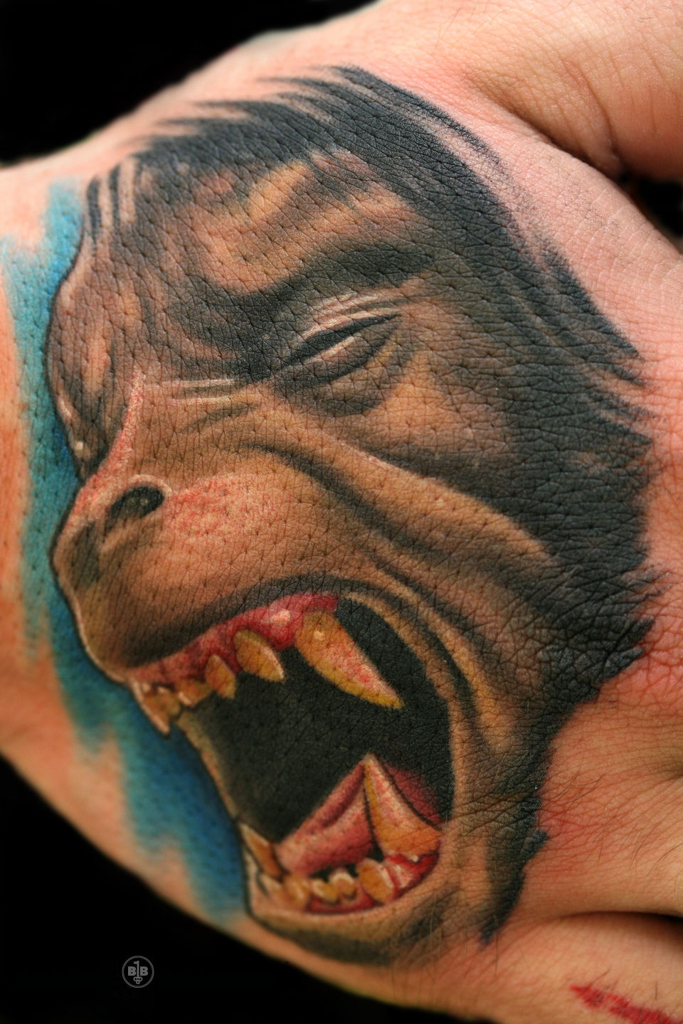 Werewolf Flash - Rempe, 36th St. Tattoo - Seattle, WA : r/tattoos