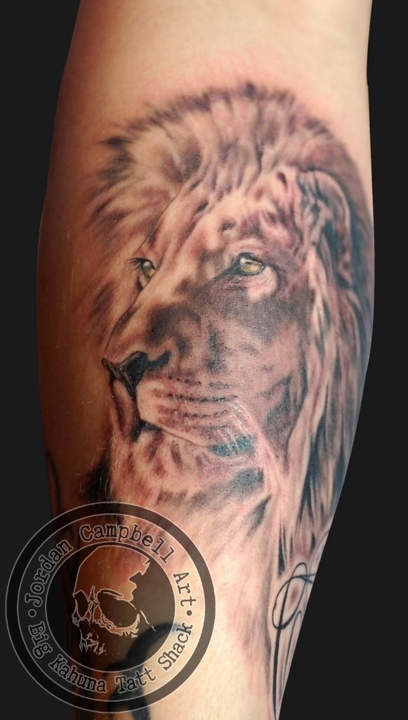Latest King Of The Jungle Tattoos Find King Of The Jungle Tattoos