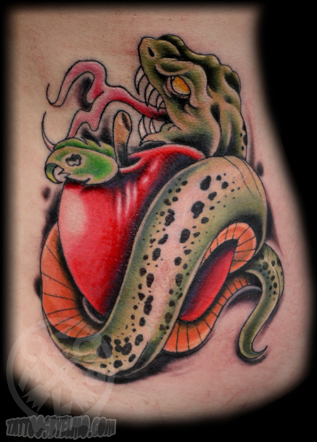 15+ Snake & Apple Tattoo Designs | Apple tattoo, Snake drawing, Tattoo  design drawings