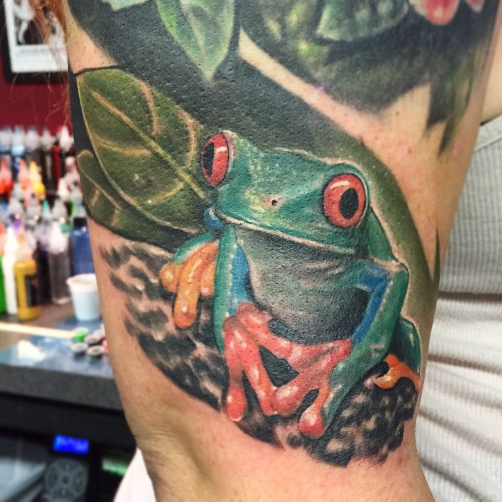 Red Eye Tree Frog Tattoo by nebulatattoo on DeviantArt