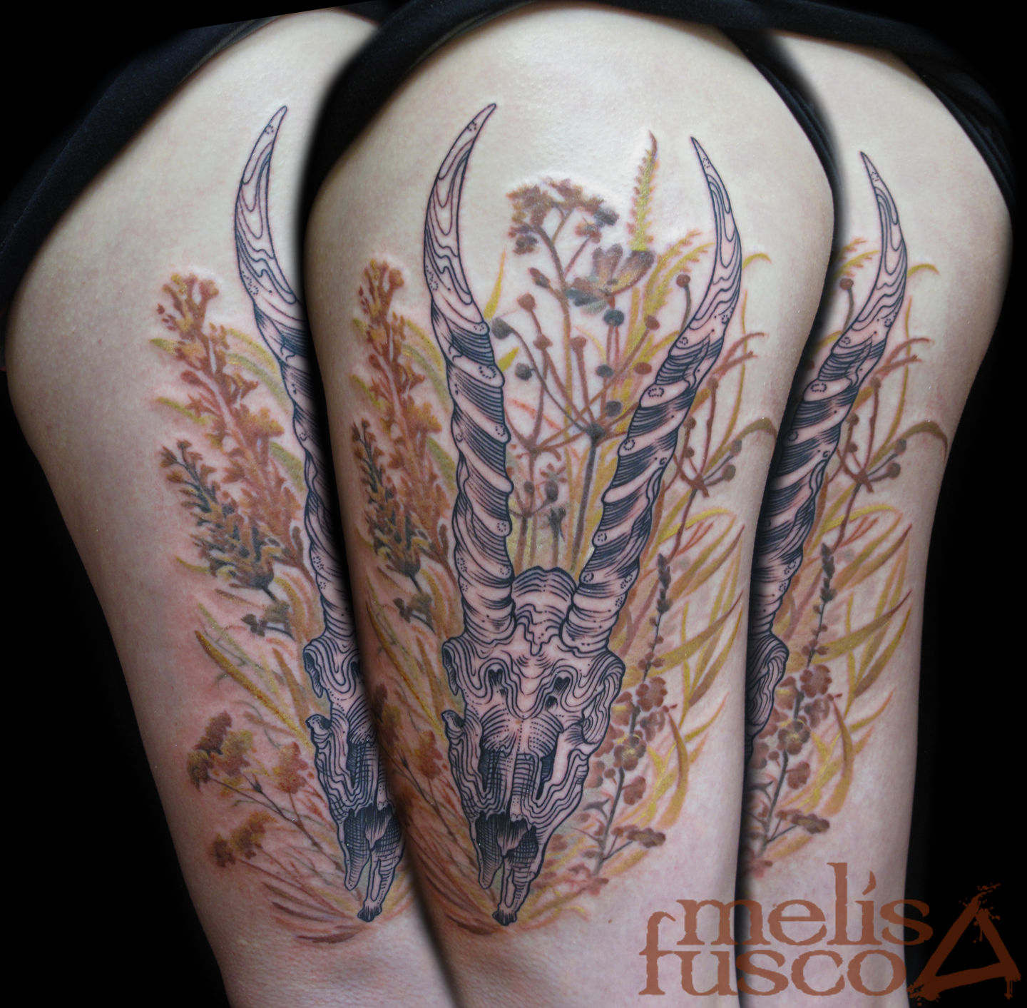 Melissa-fusco-tattoo-artist-denver-colorado-gazelle-skull-wildflower-tattoo-jpg