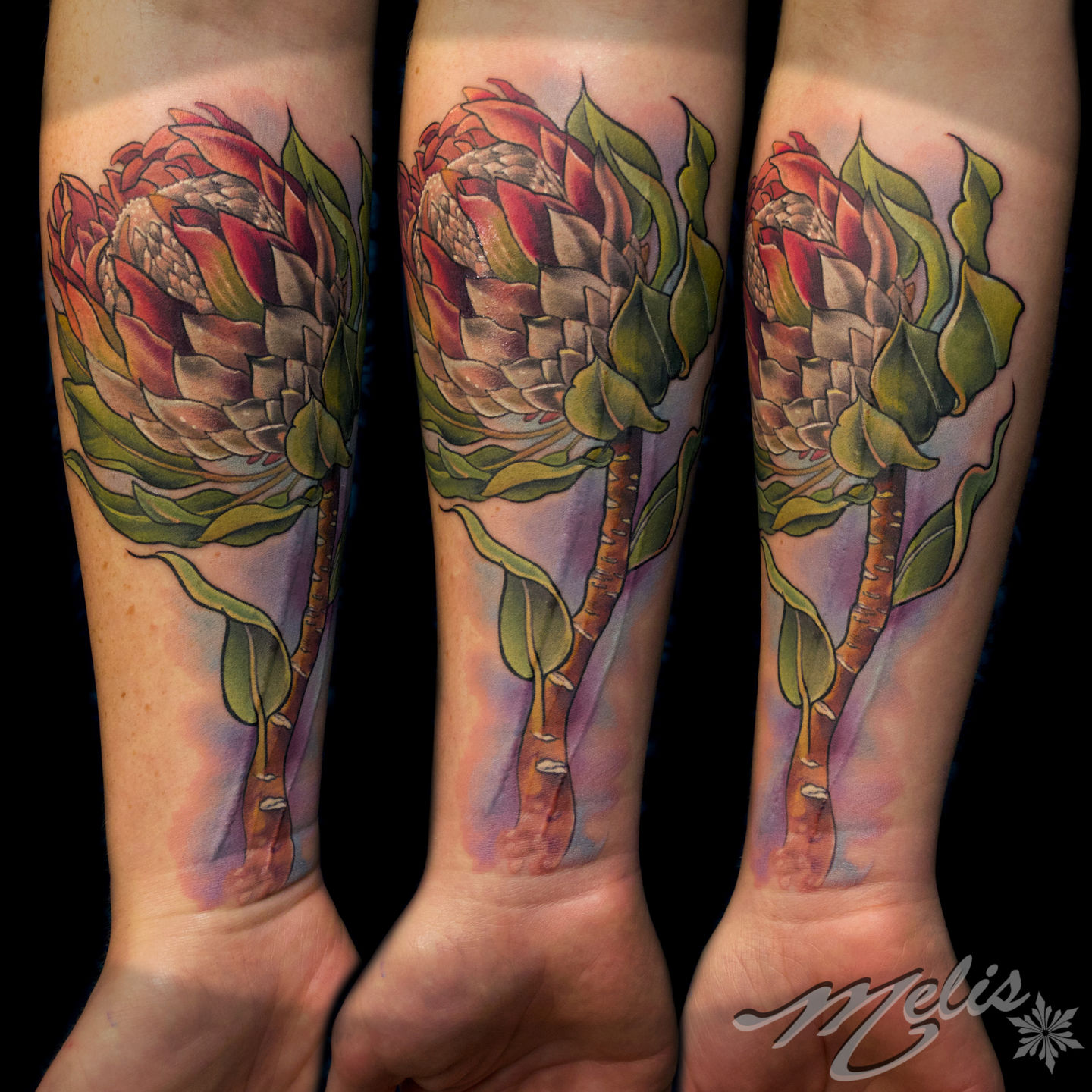 Protea flower tattoo design