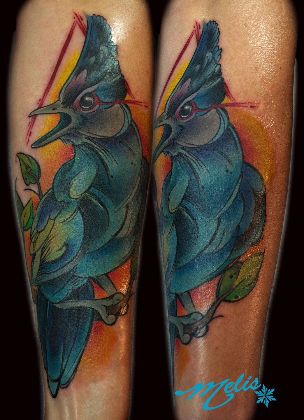 Melissa-fusco-blue-stellar-jay-tattoo-off-the-map-jpg