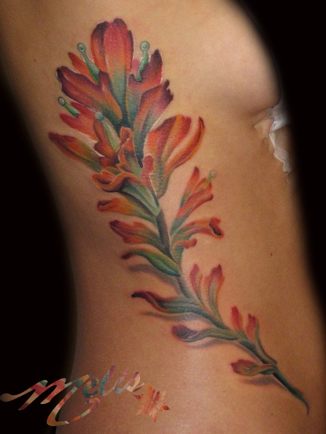 Melissa-fusco-arizona-colorado-tattoo-artist-indian-paint-brush-flower-jpg