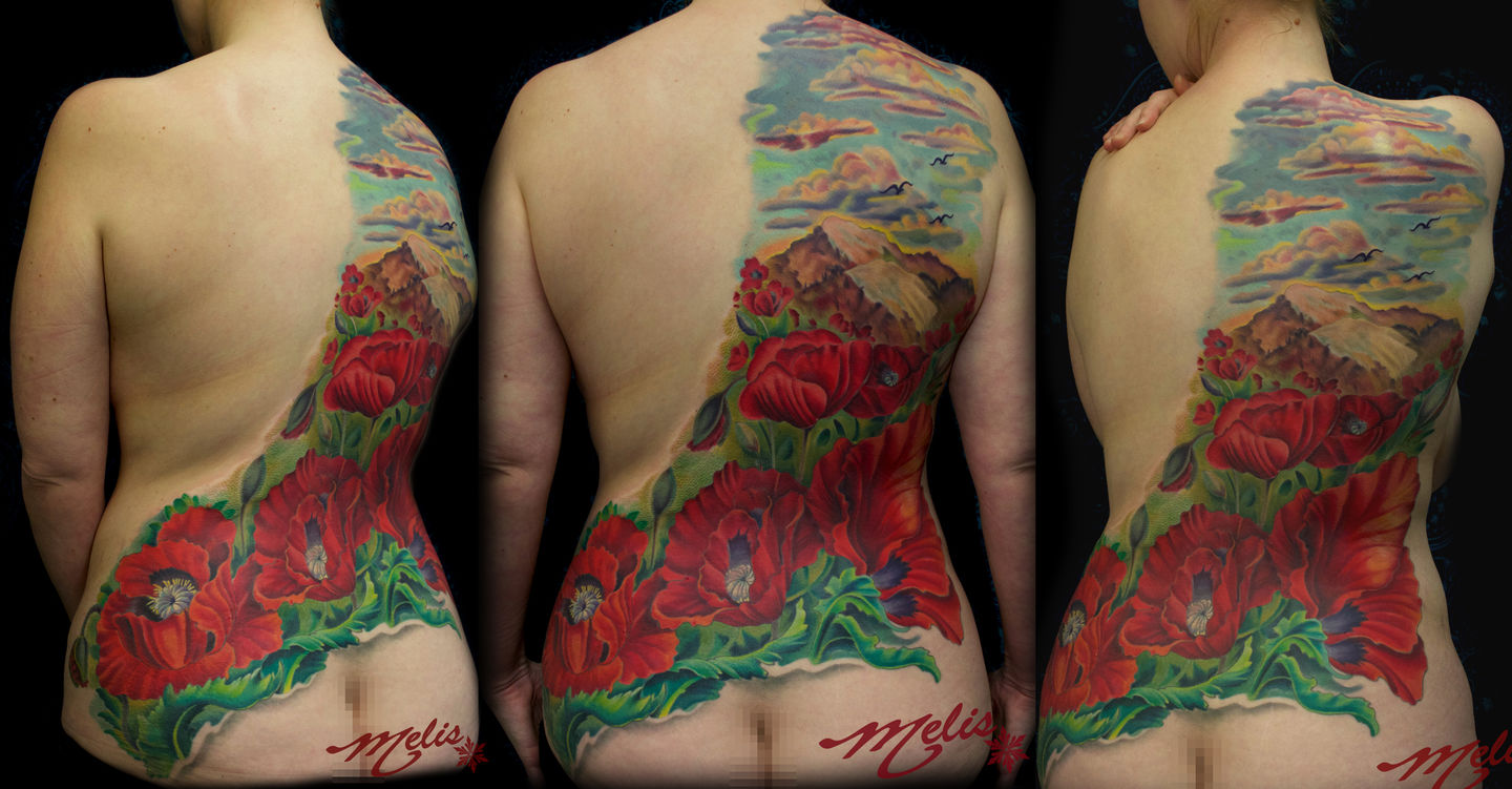 Melissa-fusco-poppy-field-mountain-scene-back-piece-3d-jpg