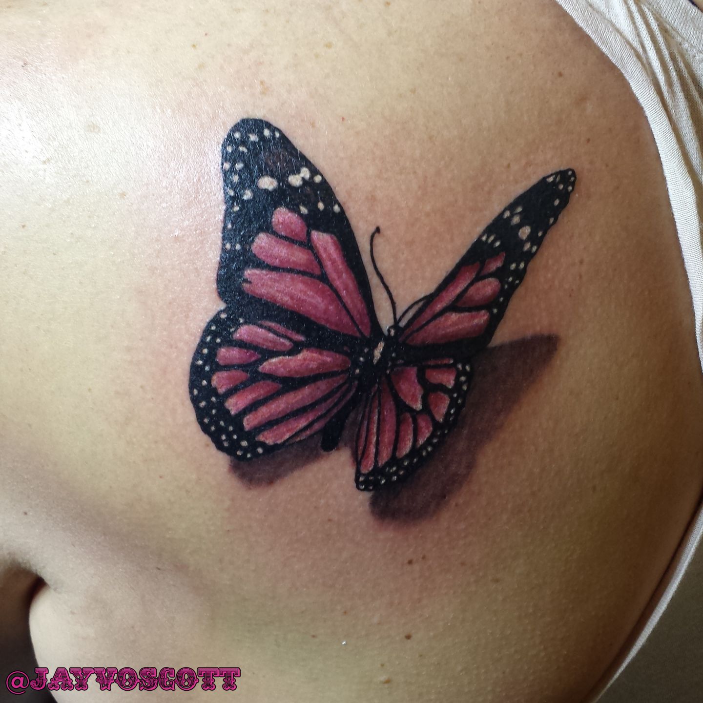 jayvoscott:butterfly-butterfly-3d-shadow