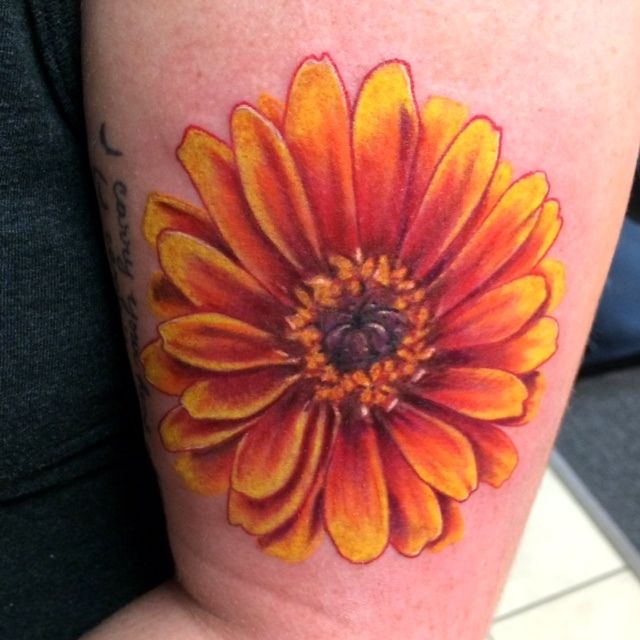 ryanspencer:color-tattoo-color-realism-flower-tattoos-zinnia