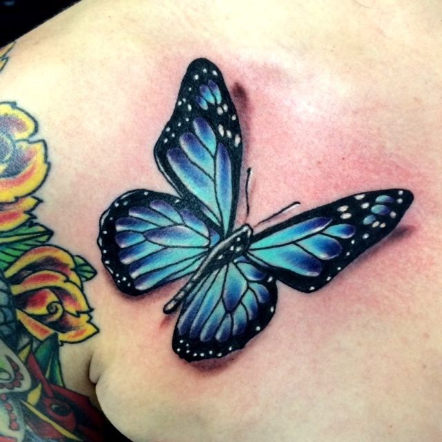 ryanspencer:butterfly-realism-tattoo-color-tattoo-fusion-ink-bishoprotary