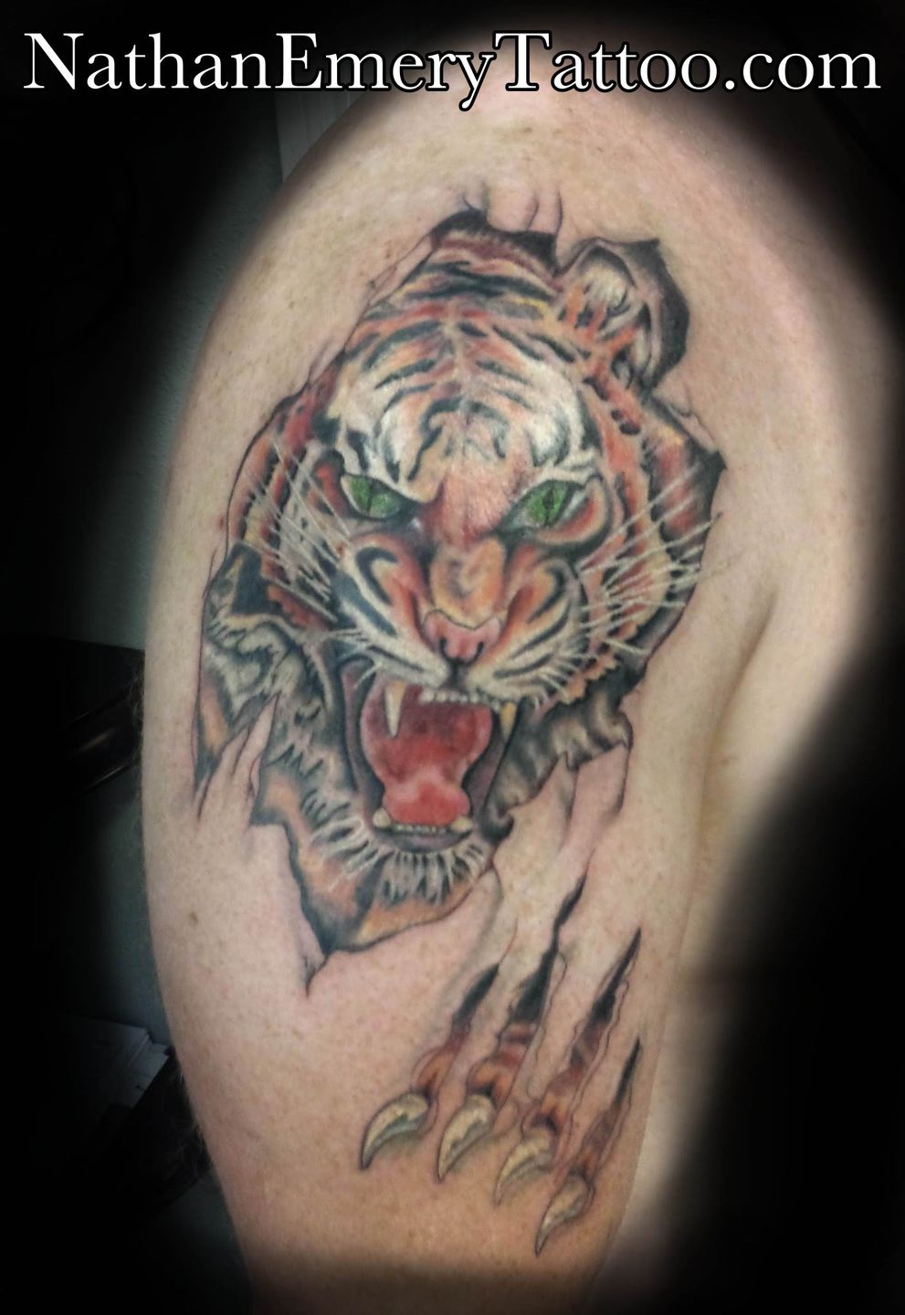 nathanemery:tiger-tattoo-by-nathan-emery-san-francisco-sf-tattoo -san-francisco-tattoo-nathan-emery-san-francisco-tiger-tattoo-scholar-tattoo -zebra-tattoo-walnut-creek-tiger-color