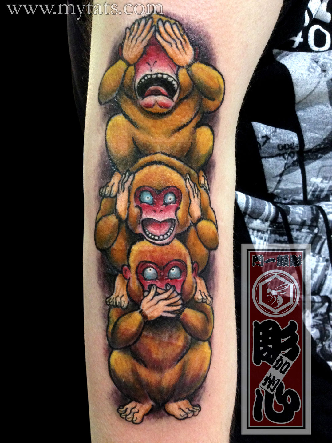 Inkwell Tattoos on Twitter See No Evil monkeys tattooed by Aaron at the  Brighton studio tattoo tattoos inkwell inkwelltattoo ink bodymod  bodymodification art monkeytattoo inkwelltattoos monkeystattoo  blackandgraytattoo armtattoo 