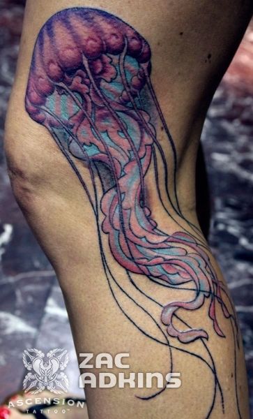 Watercolour Jellyfish Tattoo Printed Sheer Tights at Ireland's Online Shop  – DressMyLegs