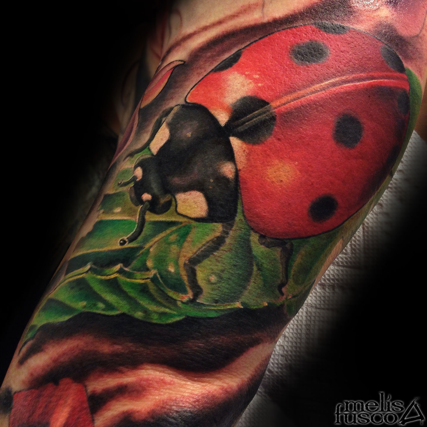 Melissa-fusco-tattoo-lady-bug-denver-colorado-artist-jpg-jpg