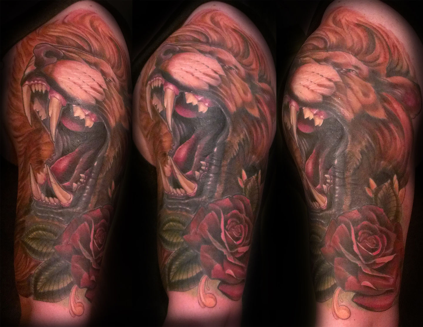 Lioncoverup300-jpg