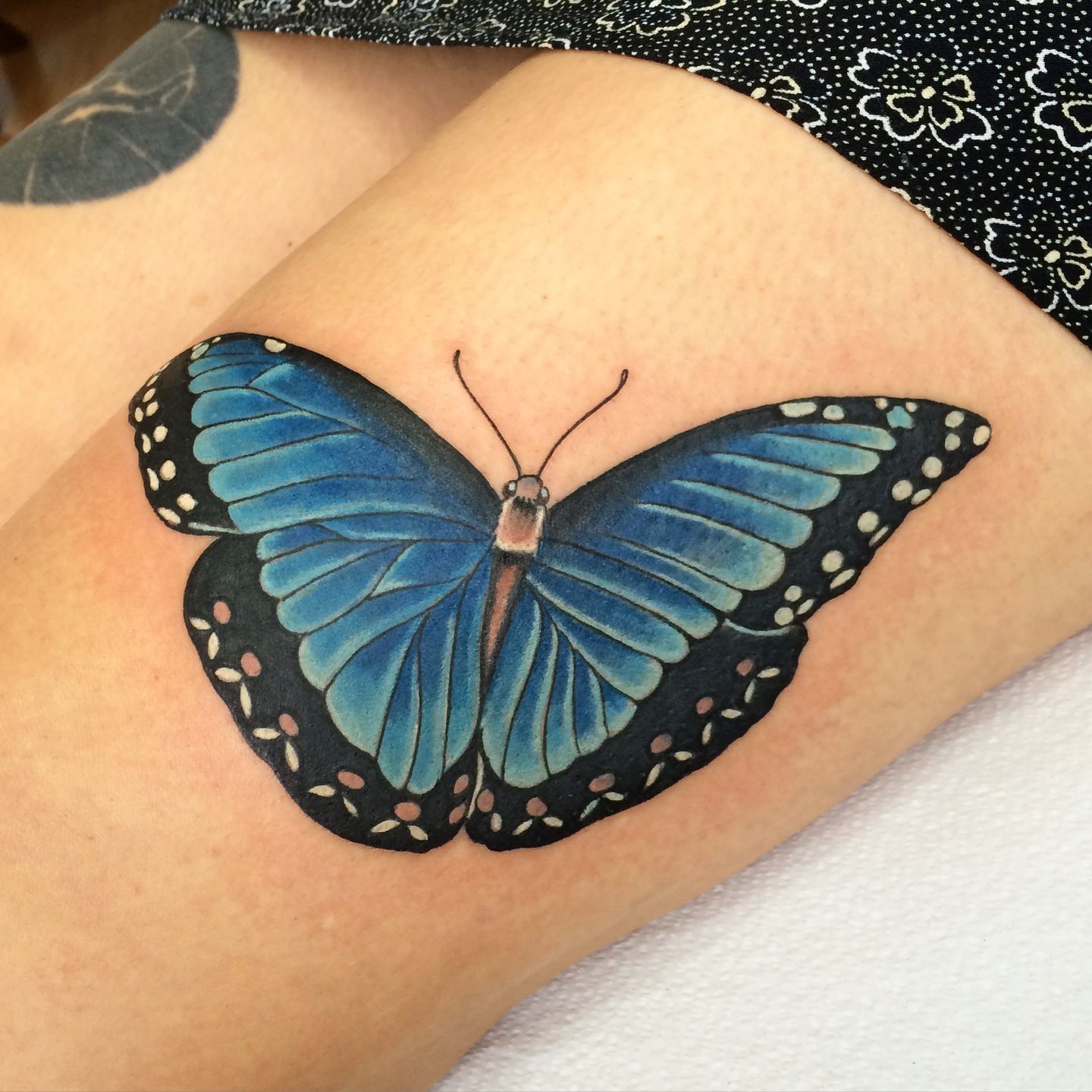 Tattoo uploaded by jme graham  Blue butterfly  Tattoodo