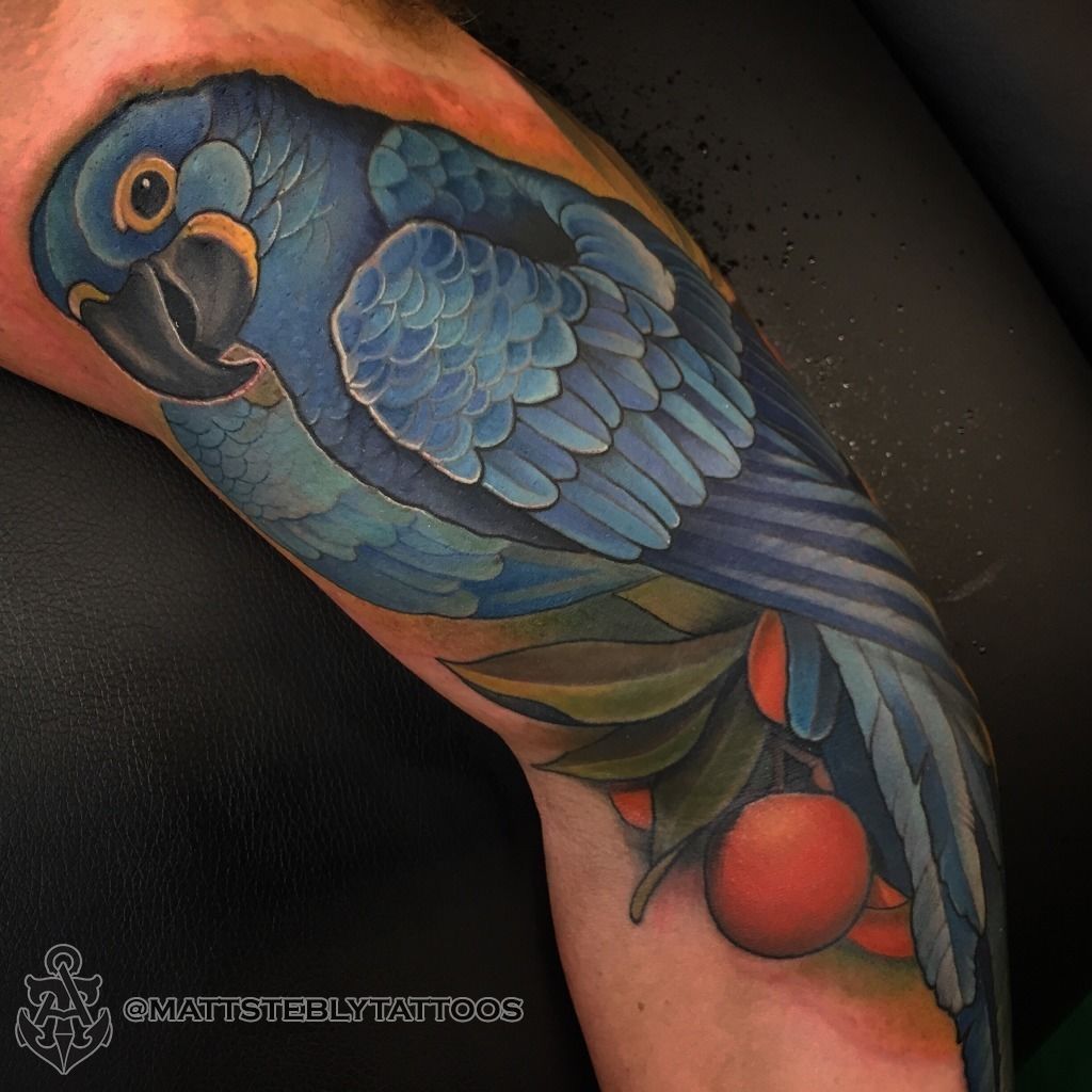 Javi Wolf — Watercolor Macaw Tattoo. Tattooed by...
