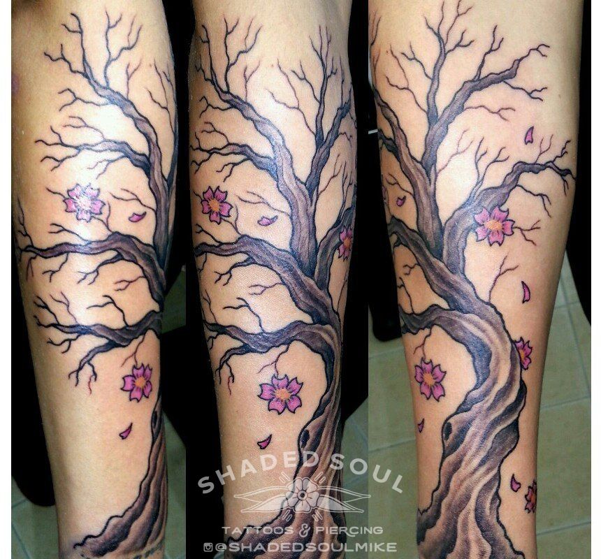 Xpost from rtattoo Cherry blossom tree My left lower leg Artist Donna  Carter Boise Idaho  rtattoos
