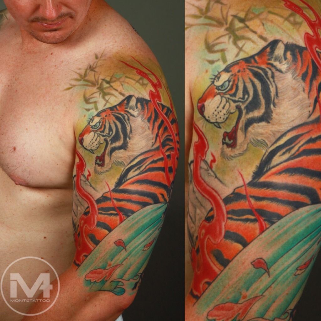 Sumatran Tiger | The eBestiary | Tiger tattoo, Tiger art, Tiger tattoo  design