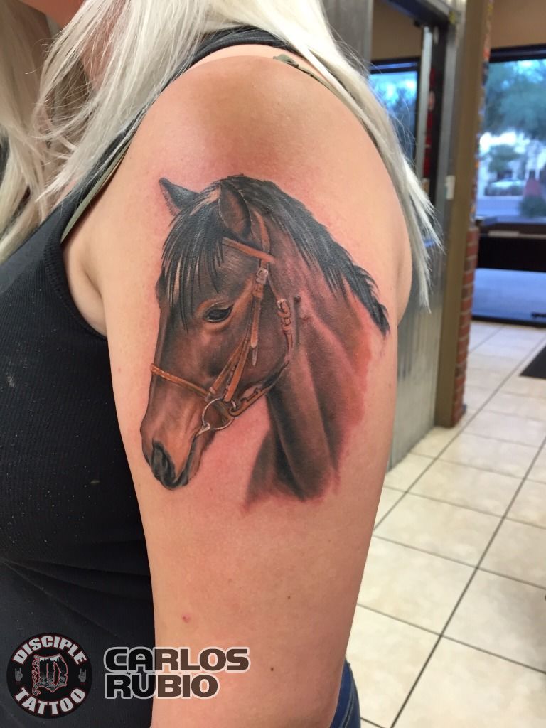 Max Brain on Tumblr: Horse. More like this. Done @lastporttattoo #maxbrain  #traditional #tattoo #flash #horse #cavallo