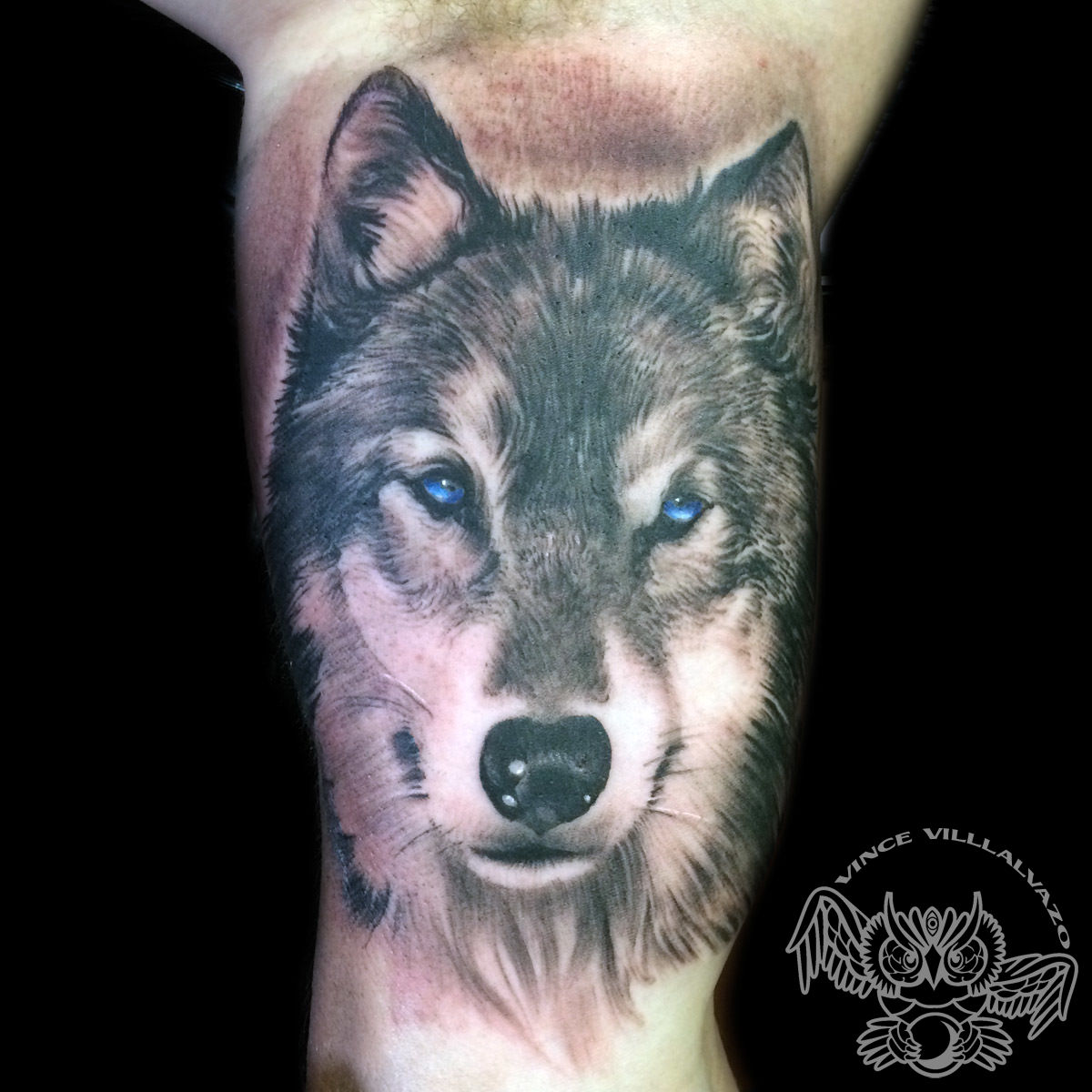 vincevillalvazo:wolf-portrait-wolf-realism-black-and-grey