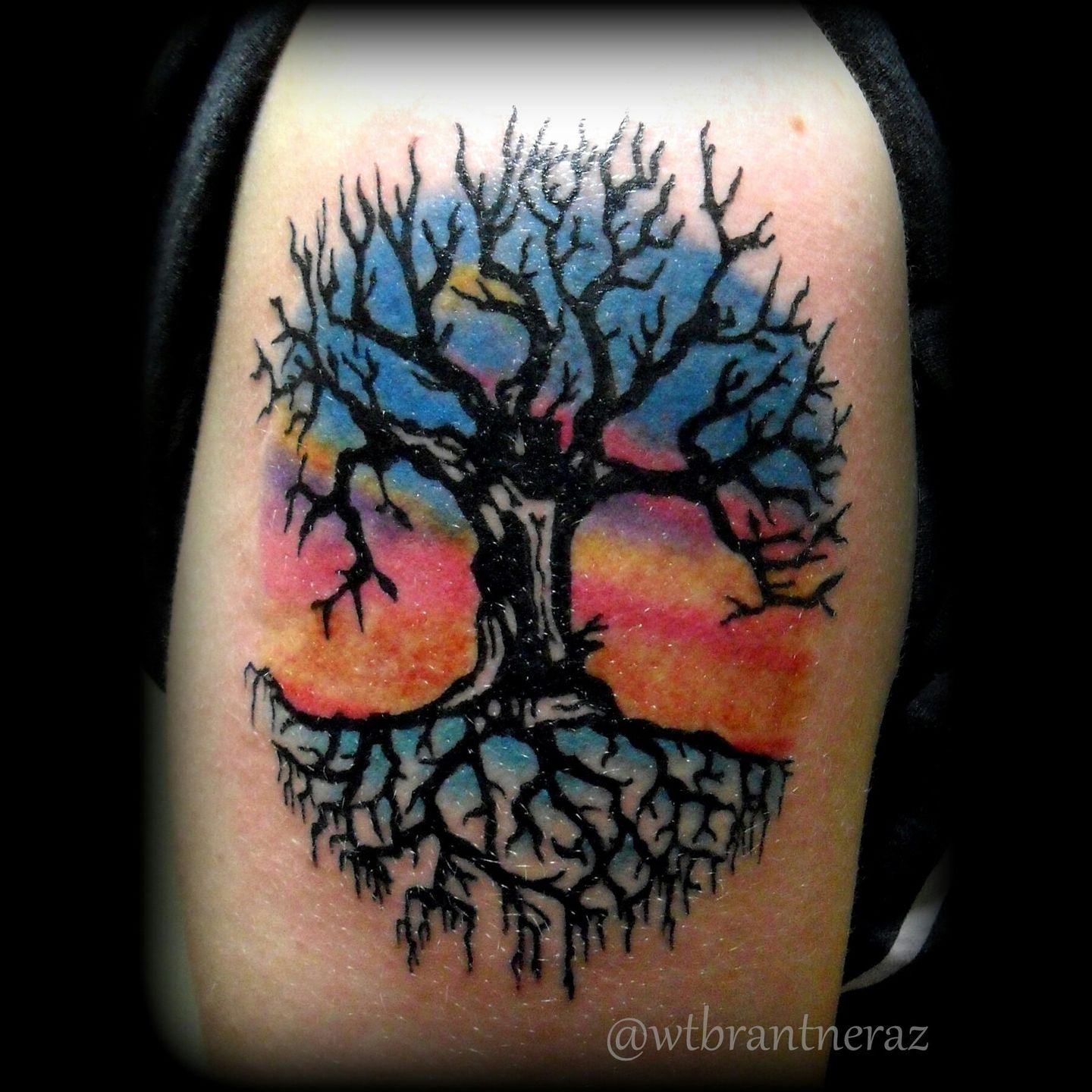 tommybrantner:tree-of-life-tree-of-life-tree-life-love-color