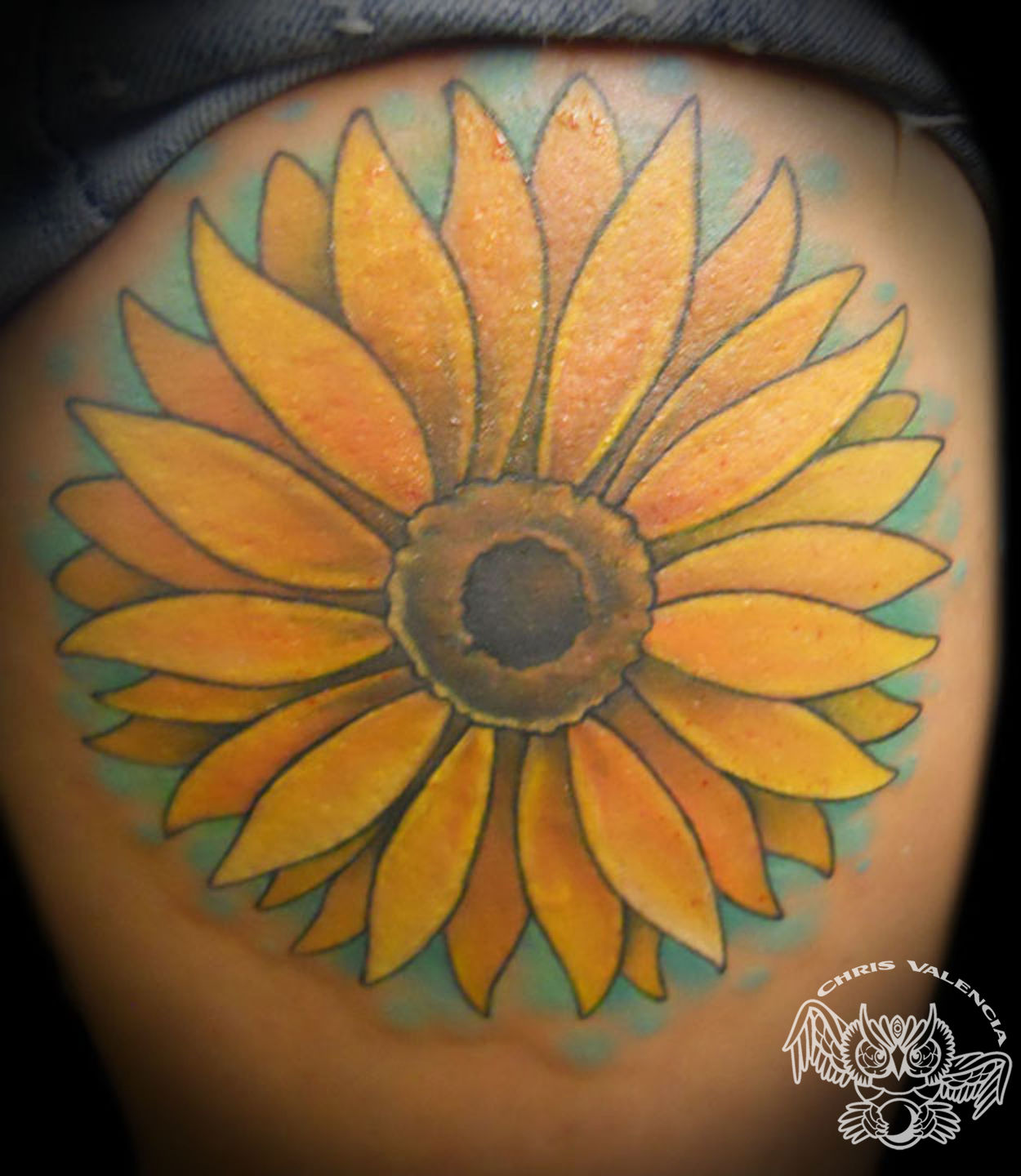 Sunflower