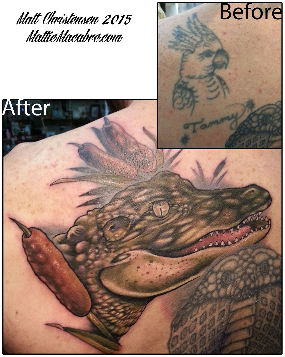 Gator_cover-up