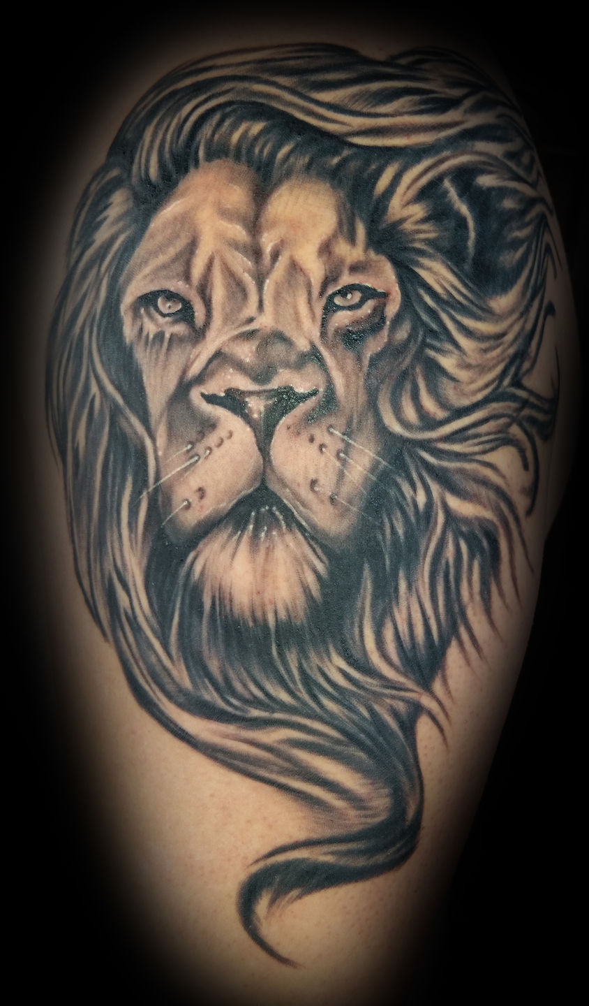 Lion