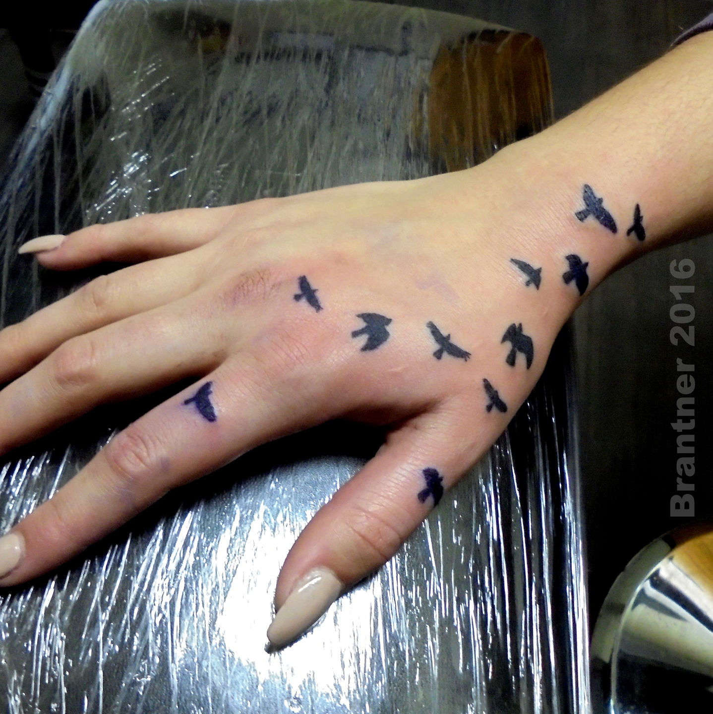 Halloween Silhouettes  Crow silhouette Crow tattoo design Traditional tattoo  crow
